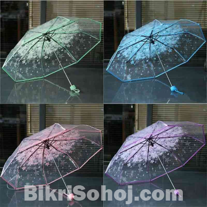 Colourful Umbrella